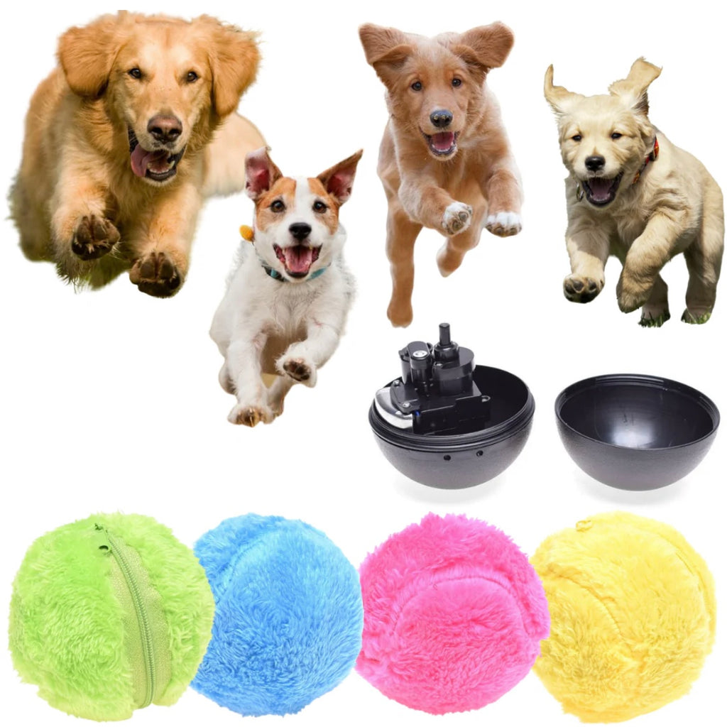 Giftzore™ Active Rolling Ball