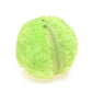 Giftzore™ Active Rolling Ball
