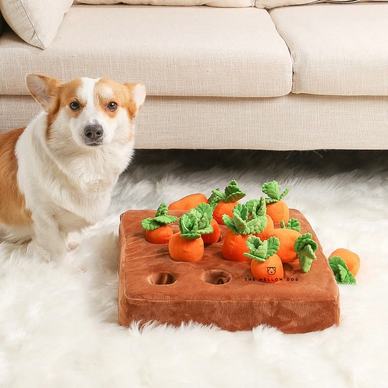 Giftzore™ Carrot Farm