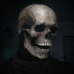Skull Mask W/ Movable Jaw