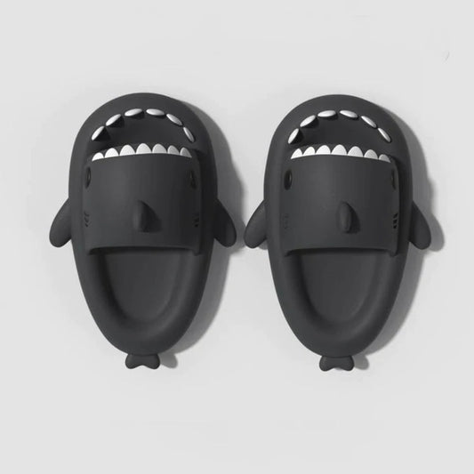 Shark Slides